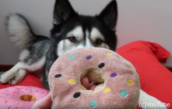 319