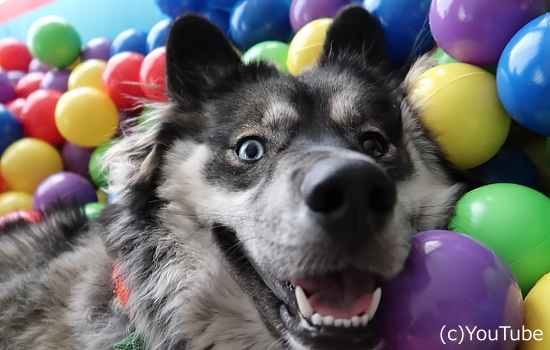 188