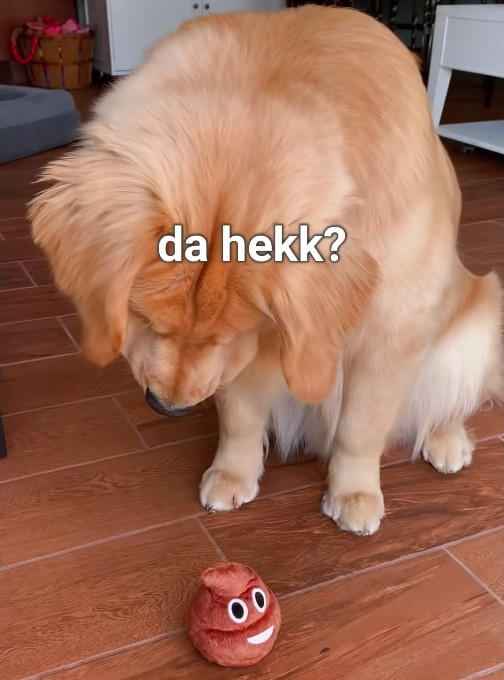 0003