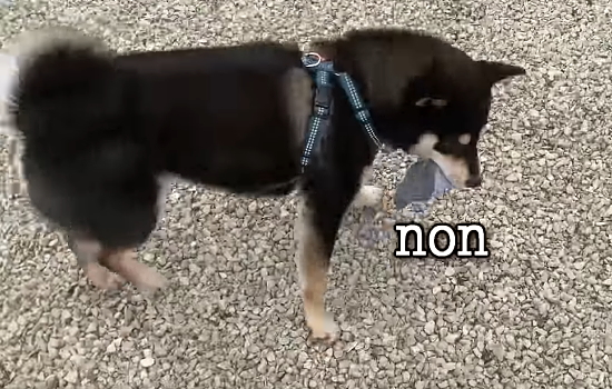 372