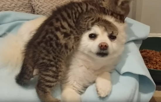 794