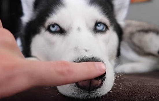 799