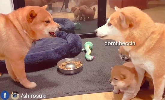 2-4