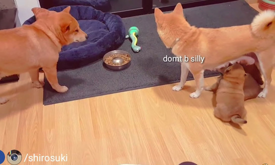 2-2