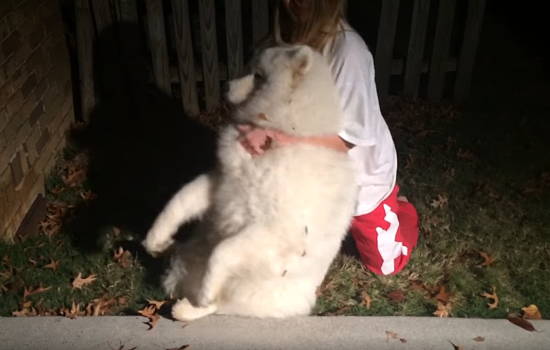 481