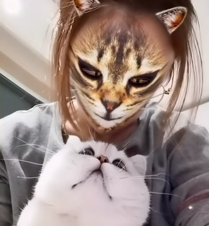 nekogao3