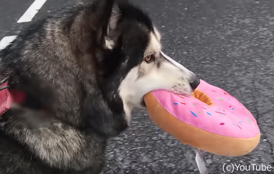 316