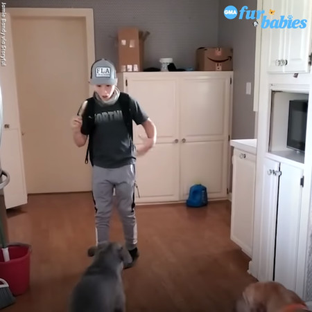 行方不明になっていた犬と感動の再会を果たした少年の様子にウルっとしてしまう ハトポ 行方不明になっていた犬と感動の再会を果たした少年の様子にウルっとしてしまう ハトポ