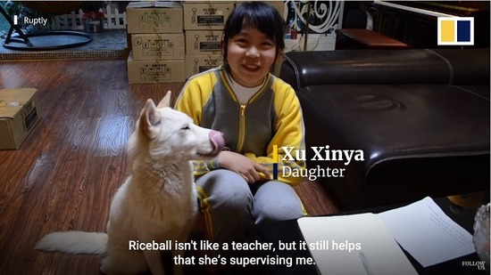 tutordog5