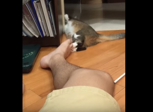 kusaineko_9
