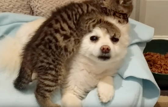 791