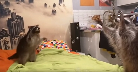 053