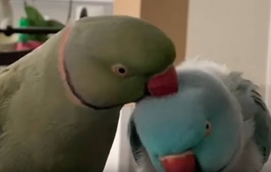203