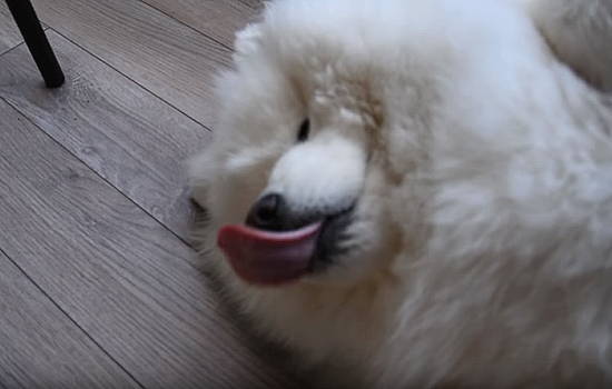 642