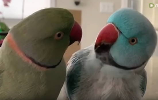 201