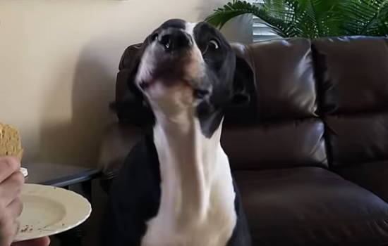 879