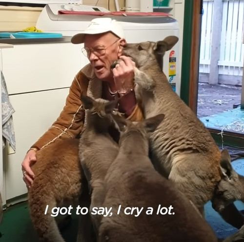 kangsaru7