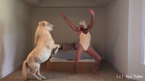 キャラの濃い飼い主さんと一緒に踊るミニチュアホース6