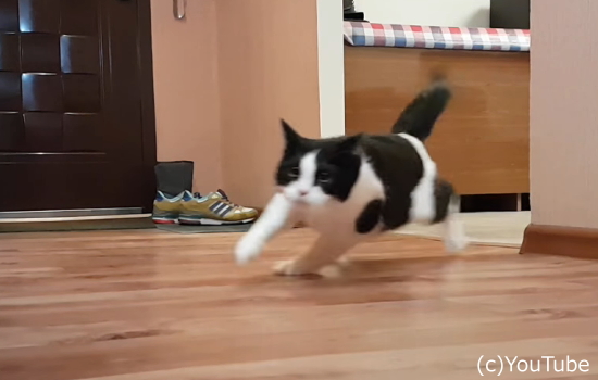 368