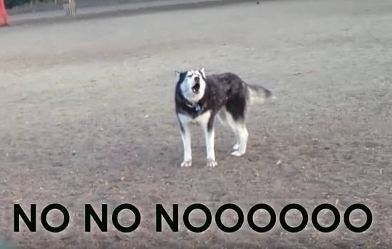 211