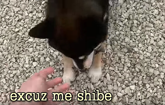 371