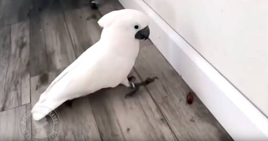 607