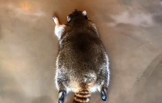 364