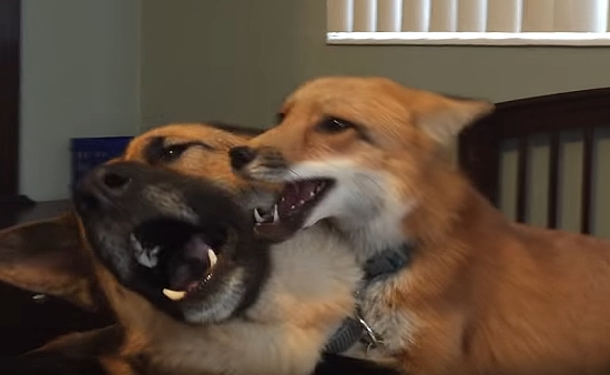 187