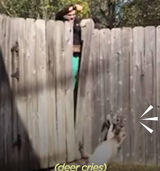 271