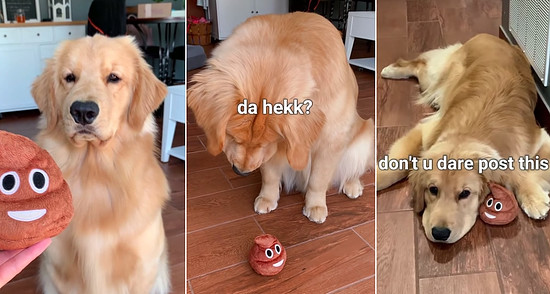 0000