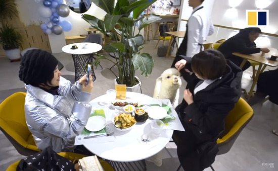k2019-12-11-1-1200-1200x626