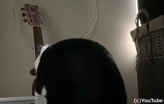 99