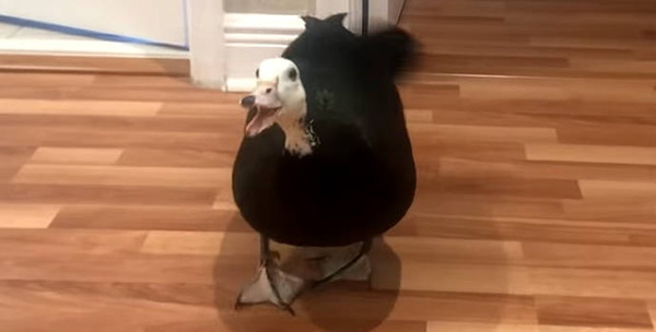 153