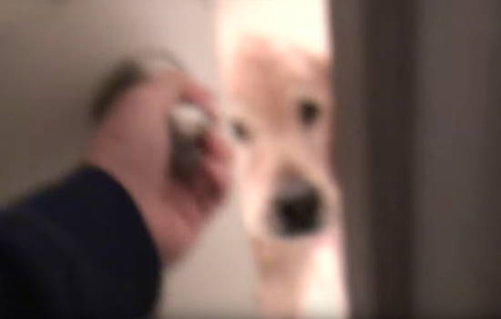 669