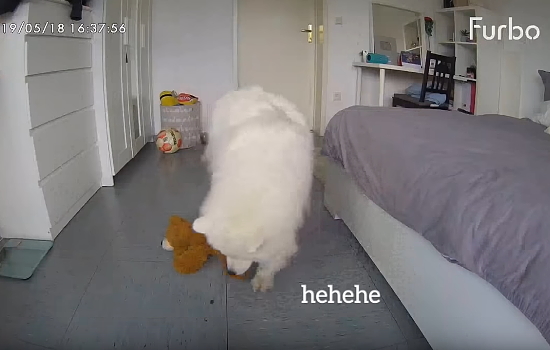 121