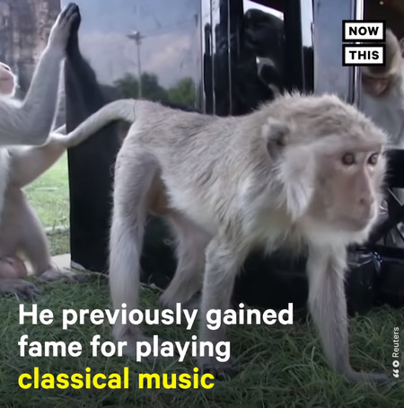 musician3