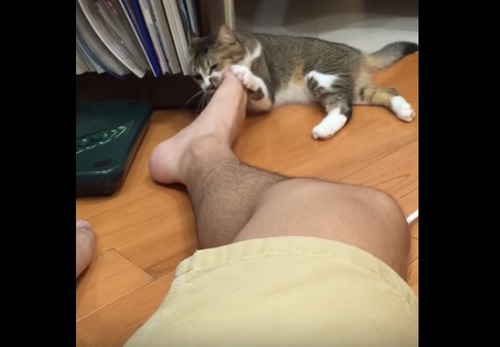 kusaineko_2