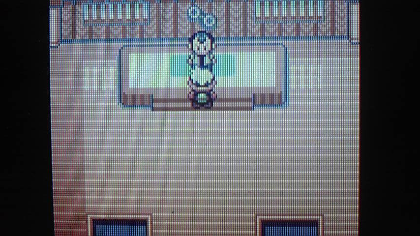 ポケモン翠玉日記 第四回 フエンタウン Vsパパ はとの隠れ家