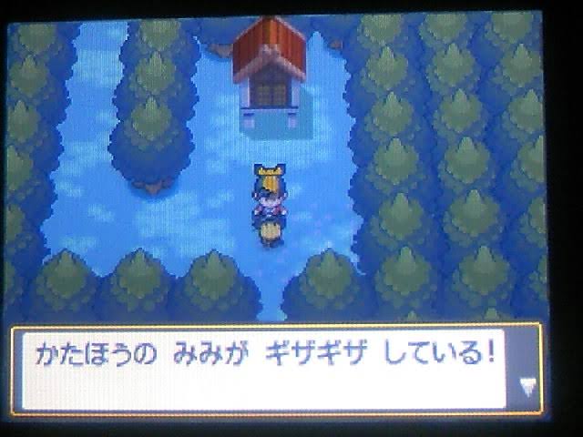 中川翔子さん またニワカを晒してしまう モルモット速報