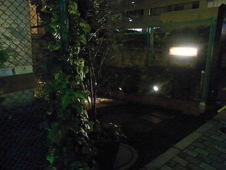 RIMG0017