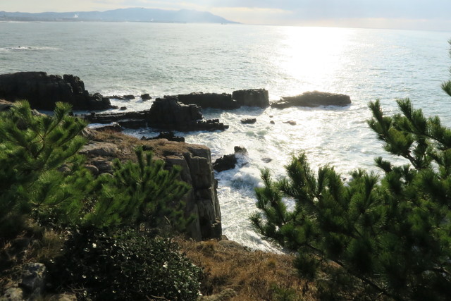 福井 東尋坊で火サスの世界を満喫したら ぜひここに寄ってみて 日本海を眺めながらまったり過ごせる喫茶店 喫茶アメリカン 恵比寿 銀座大好き 新米フードアナリスト ハツのブログ