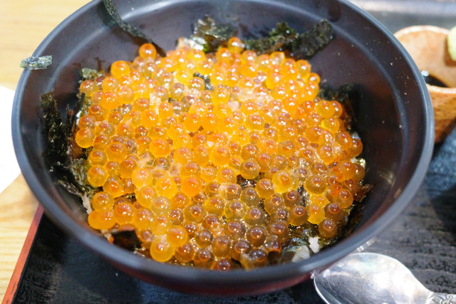 R0004051