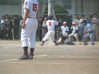 778fc037.jpg