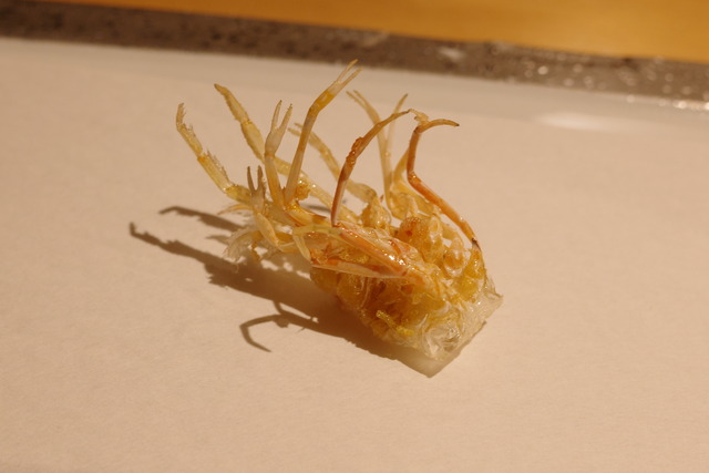 R0008934