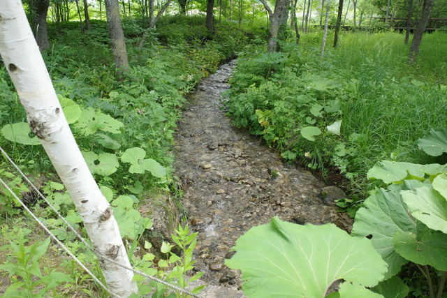 R0005030