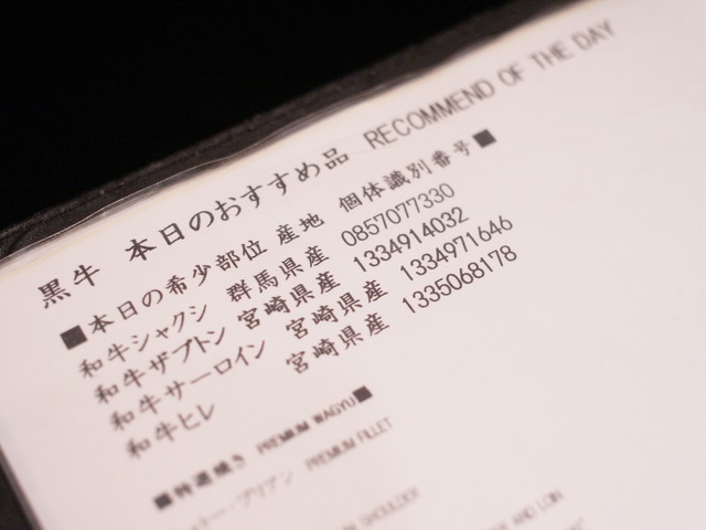 R0251199
