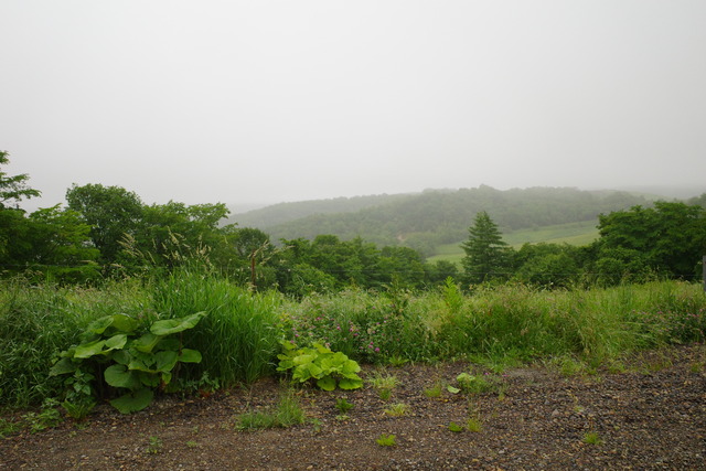 R0005189