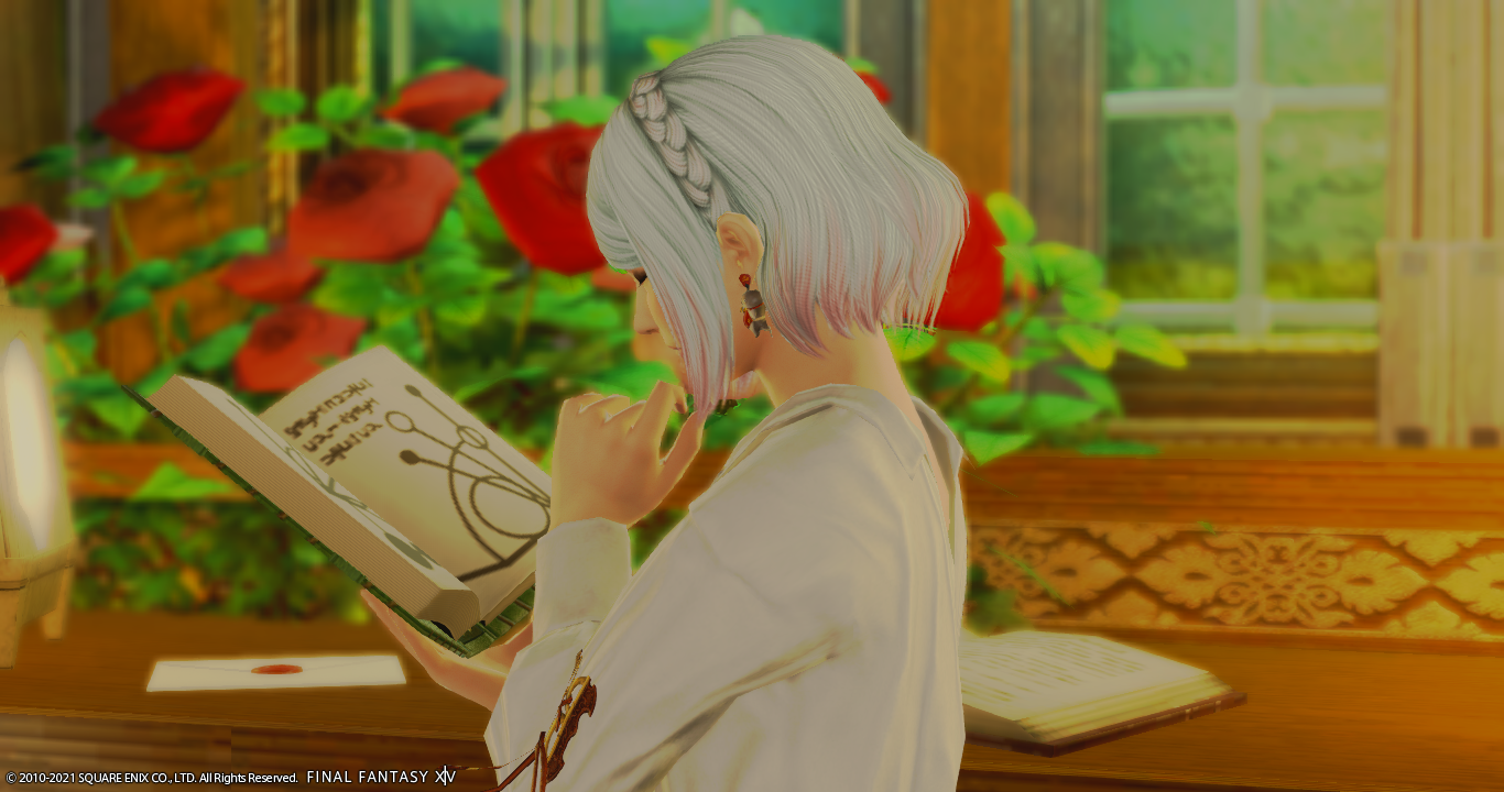 編込みカチューシャです モグコレ Ff14フリートライアルでも楽しいもん