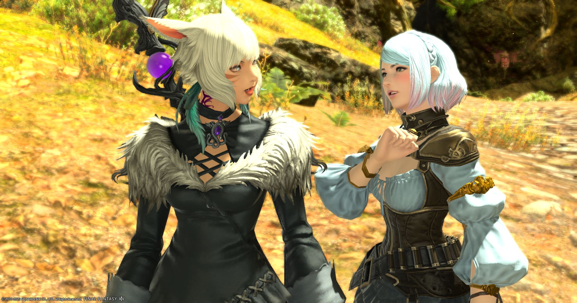 いったい何歳ですか？ 「・・・」 ヤ・シュトラ・ルルの一面