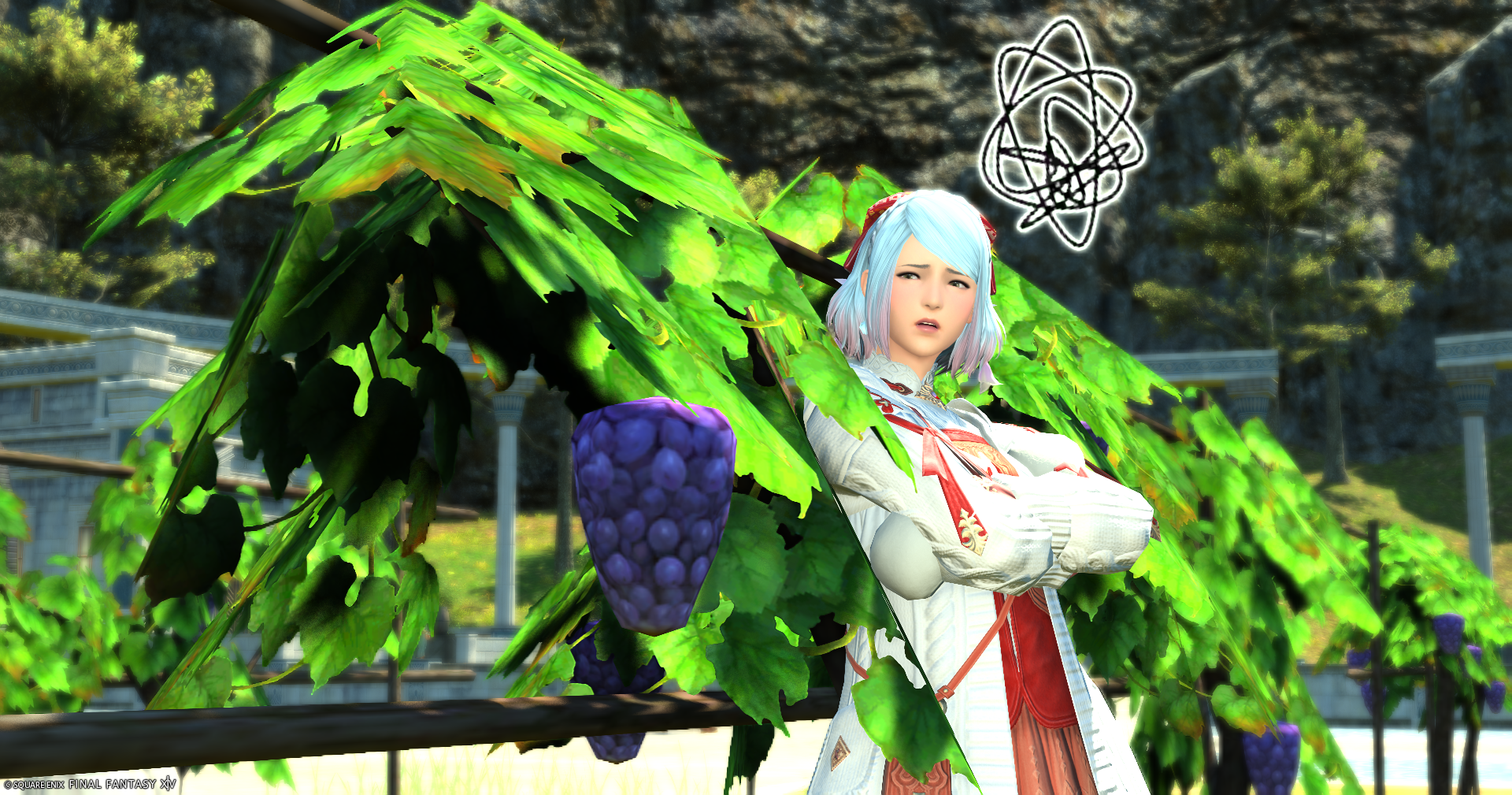 暁月のトレーラーと微妙に違う・・『杖カツーン！』をしないヤシュトラ